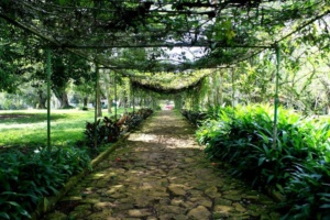 Aburi botanical gardens Accra